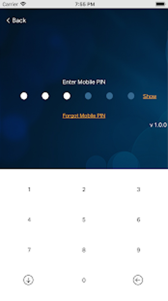 Imagen 2 para Noor Bank Mobile App