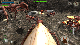 Image 0 for Ant Simulation 3D Full