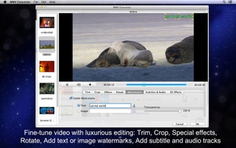 Image 0 for WMV Converter