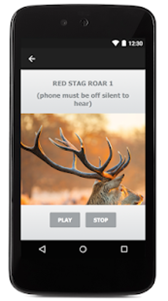 Imagen 1 para Red Stag Sounds and Red S…