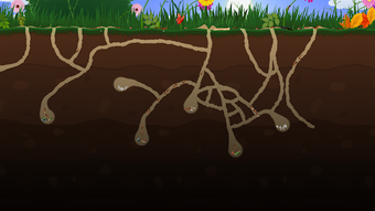 Image 1 for Ant Farm