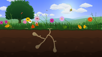 Image 2 for Ant Farm