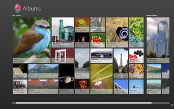 Imagen 1 para PicasaRT for Windows 8
