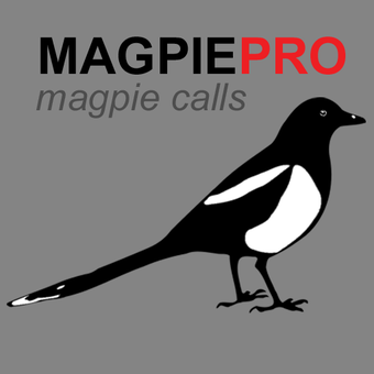 Imagen 0 para Magpie Hunting Calls