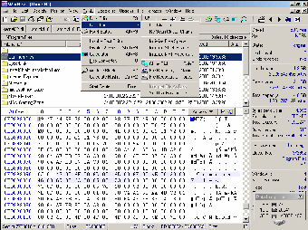 Image 0 for WinHex