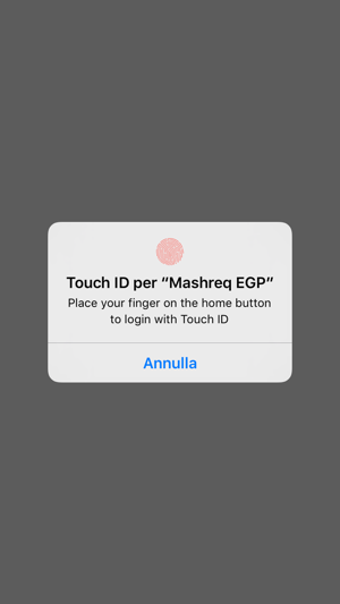Image 1 for Mashreq Egypt
