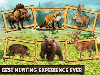 Image 0 for Jungle Sniper Hunting 3D