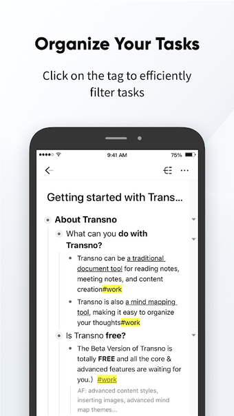 Image 0 for Transno - Outlines, Notes…