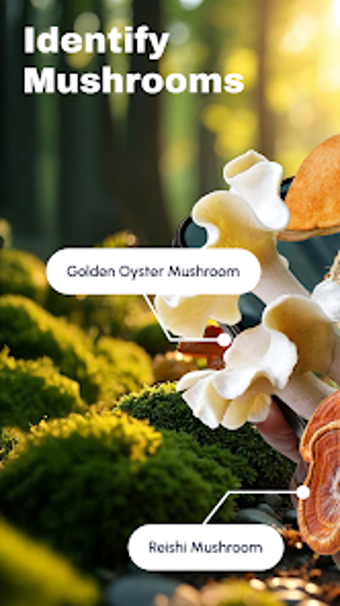Image 0 for ShroomSnap: Mushroom ID