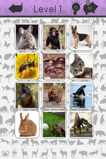 Image 0 for Animals Icon Quiz