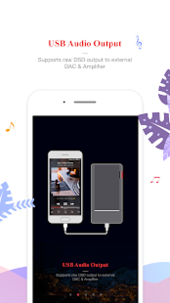 Imagen 1 para FiiO Music