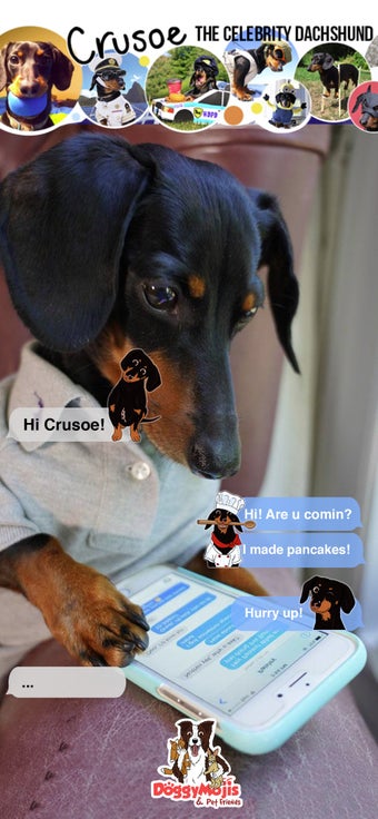 Image 0 for CrusoeMoji - Dachshund st…