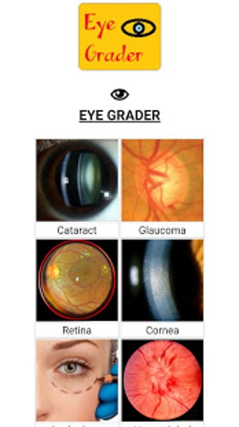 Image 1 for Eye Grader