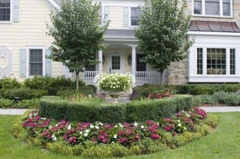 Image 2 for Front Yard Landscaping