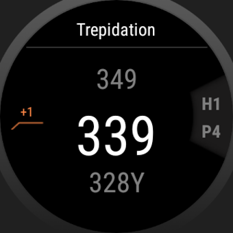 Imagen 2 para Golf Navi Pro