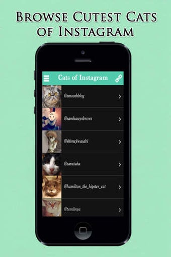 Imagen 0 para Cats of Instagram