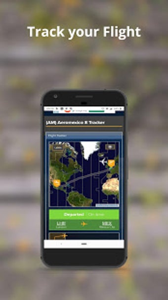 Imagen 2 para Flight Information: Airpo…