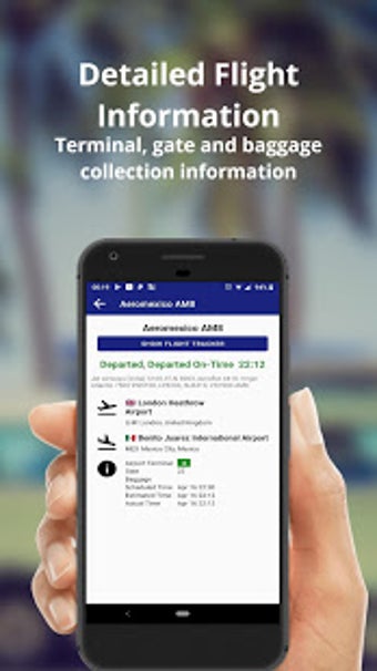 Imagen 1 para Flight Information: Airpo…