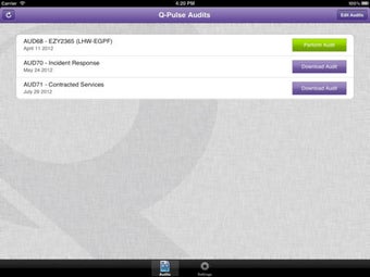 Image 0 for Q-Pulse Audit