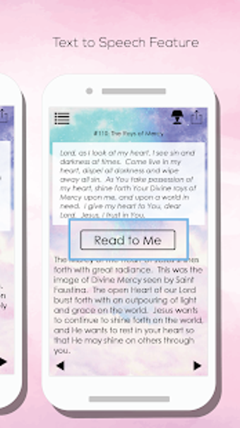 Imagen 1 para The Diary of St Faustina …