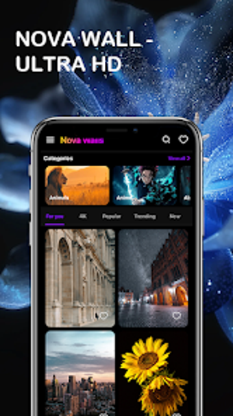 Image 0 for Nova Wall - Ultra HD