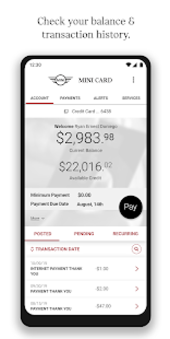Imagen 3 para MINI Credit Card