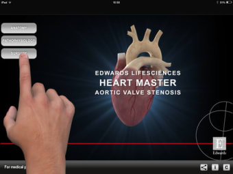 Image 0 for HEART MASTER
