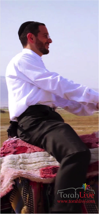 Image 2 for Torah Live - Torah Videos