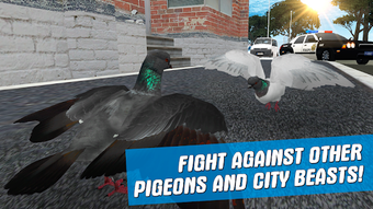 Imagen 0 para City Bird Pigeon Simulato…