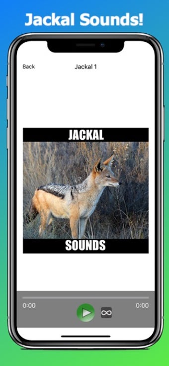 Image 1 for Jackal Sounds Effects