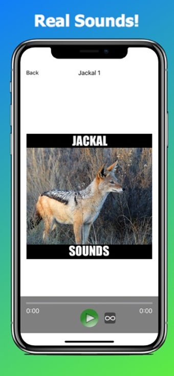 Image 1 for Jackal Sounds Effects
