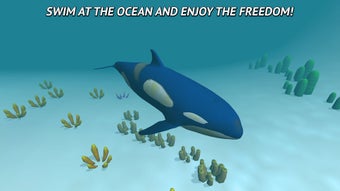 Image 1 for Angry Killer Whale: Orca …