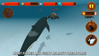 Image 0 for Angry Killer Whale: Orca …
