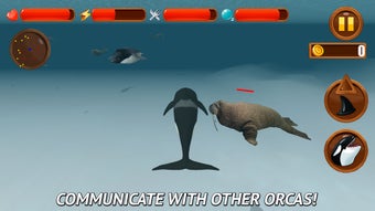 Image 3 for Angry Killer Whale: Orca …