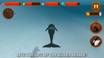 Image 0 for Angry Killer Whale: Orca …