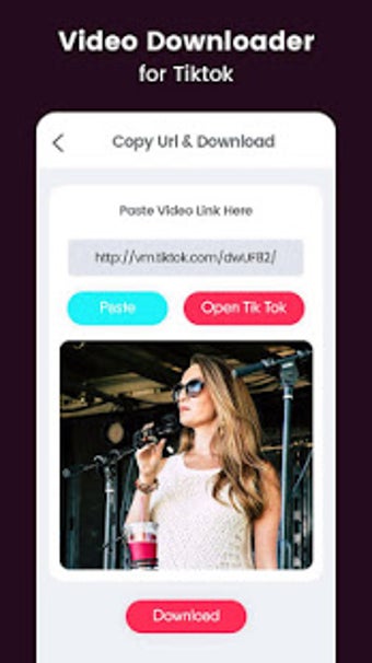Image 2 for Vip Tool For Download Tik…