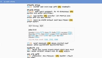 Image 1 for Iota Amharic Bible
