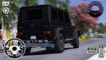 Imagen 2 para Driving Mercedes-Benz G65…