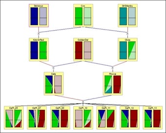 Image 0 for Pedimap