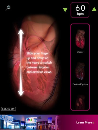 Image 0 for Virtual Heart