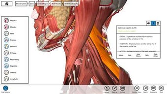 Image 1 for Essential Anatomy 3 for W…