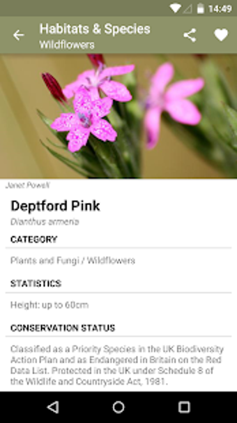 Image 3 for Wildlife Trusts' Nature F…