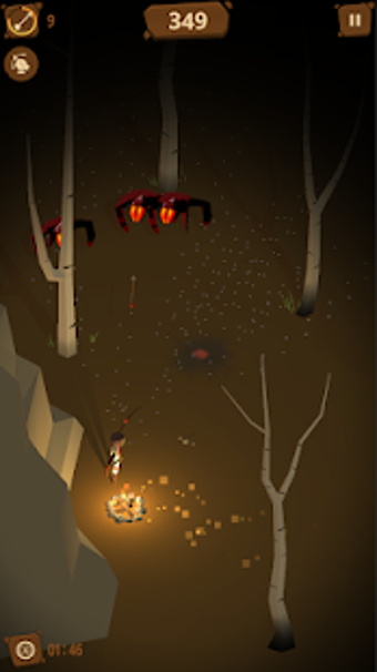 Image 1 for Last Arrows