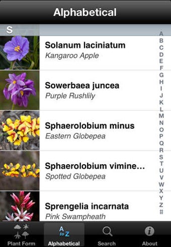 Image 0 for Flowering Plants of Tasma…