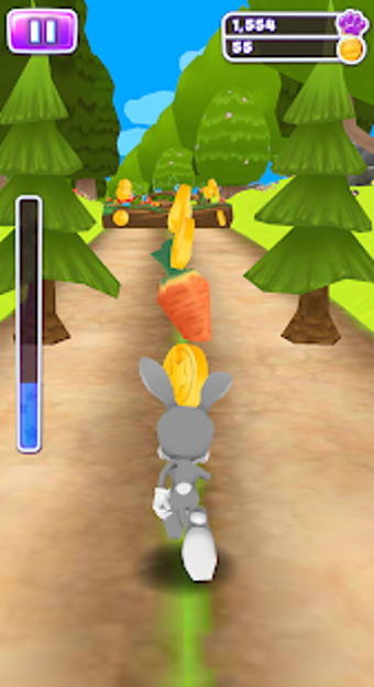 Image 0 for Bunny Run - Bunny Rabbit …