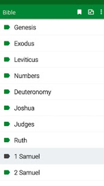 Image 2 for RSV Bible