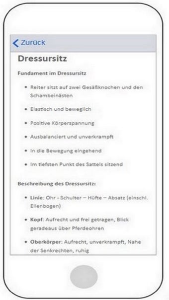 Image 2 for Reitabzeichen 5 bis 10