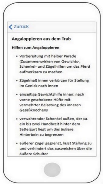 Image 0 for Reitabzeichen 5 bis 10
