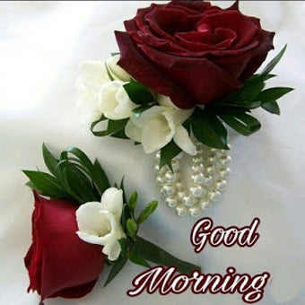Image 0 for Good Morning and Good Nig…