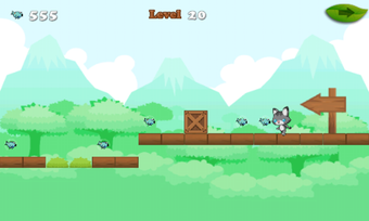 Image 1 for Jumping Cat